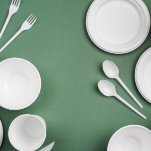 Plastic Cutlery